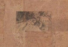 Fotolitografia  Scorci