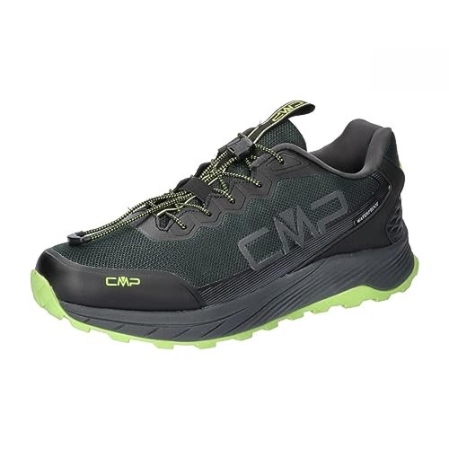 Cmp phelyx wp - cmp,