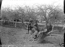 Uomo Cavalier Cavallo Salto
