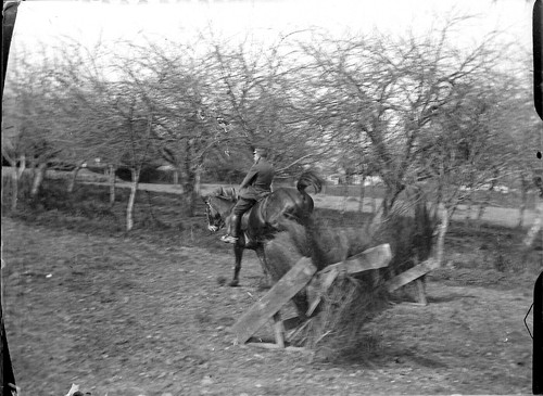 Uomo cavalier cavallo salto - cavalier,