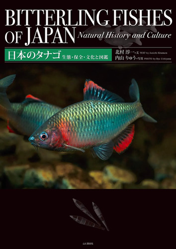 New japan tanago cultura di - new,