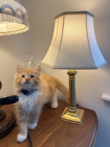 Vintage column brass plated
