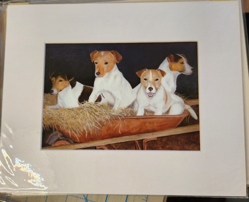 Jack parson russell - ,