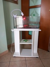 Tartarughiera In Vetro Con Mobiletto