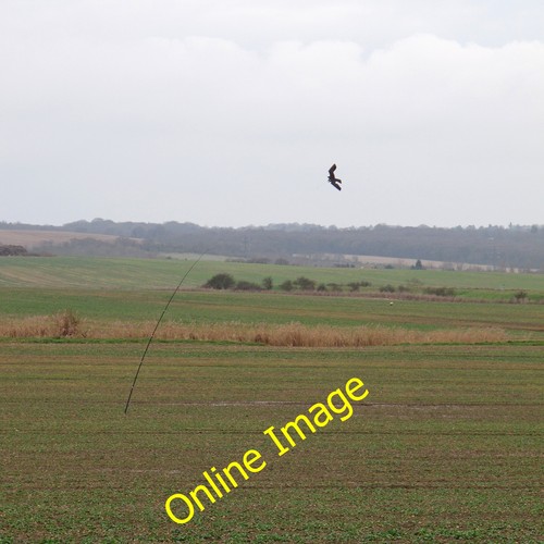 Photo 12x8 scare kite - 12x8,