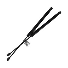 Coppia Pistoni Portellone