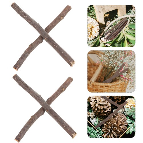 Pcs rami decorativi - ,
