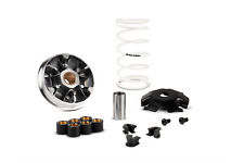 MALOSSI 5119670 VARIATORE PER