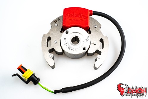 Selettra mini statore per - mini,