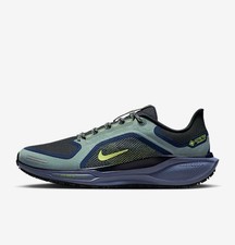 Nike Pegasus 41 GORE-TEX Uomo