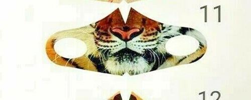 Big cat leo face - big,