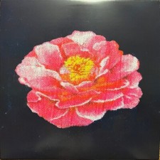 Post Malone - Tribute to