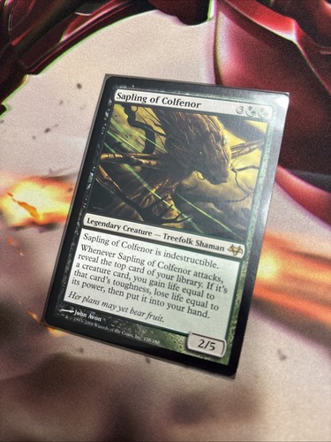 Mtg alberello colfenor - di,
