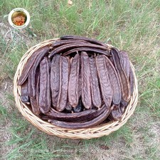 Carrube Scelte  Cat. I -  Nuovo Raccolto 2025 | Kg. 2