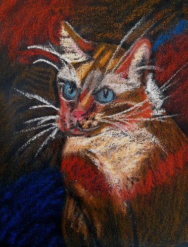 Dipinto regalo animali