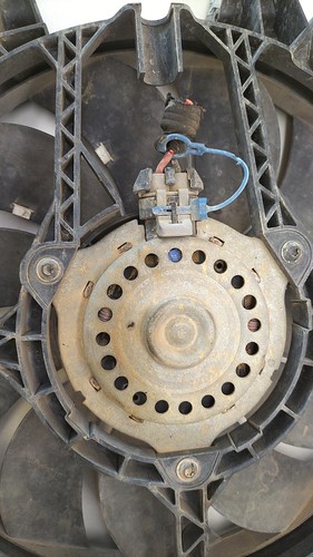 Ventola radiatore fiat panda - ventola,