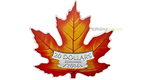 Dollaro coloured foglia - coloured,