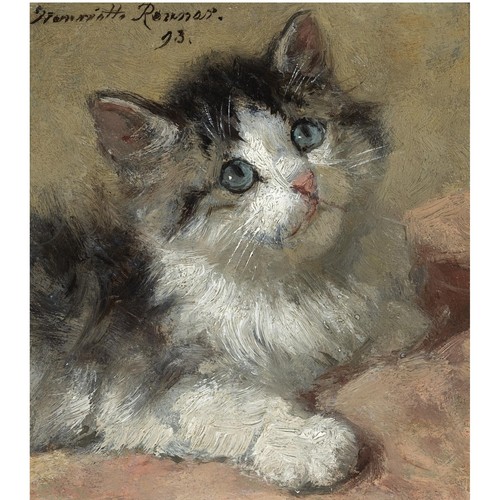 Henriette ronner knip cat - ronner-knip, 7x5