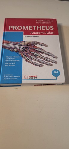 Lehrbuch anatomie atlas - lehrbuch,