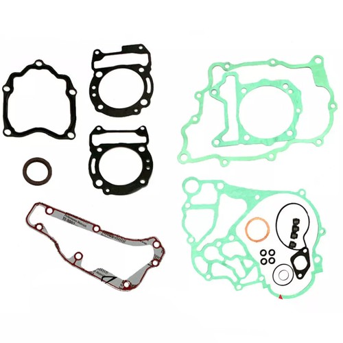 497592 guarnizioni del motore - 497592,