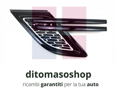Griglia parafango anteriore - griglia, sx