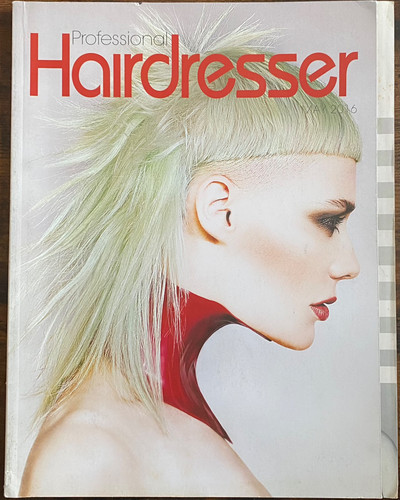 Professional hairdresser - professional,