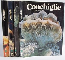 CONCHIGLIE DI TUTTI I MARI