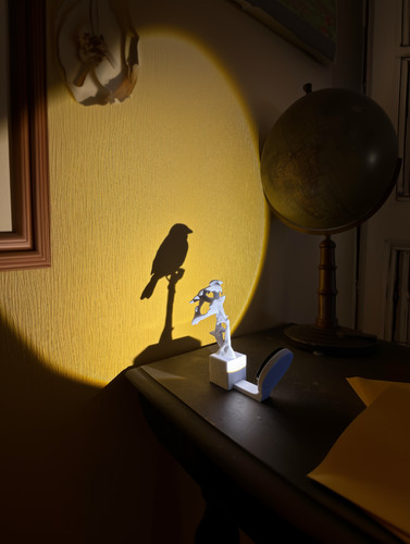 Lampada ombra passero - lampada,