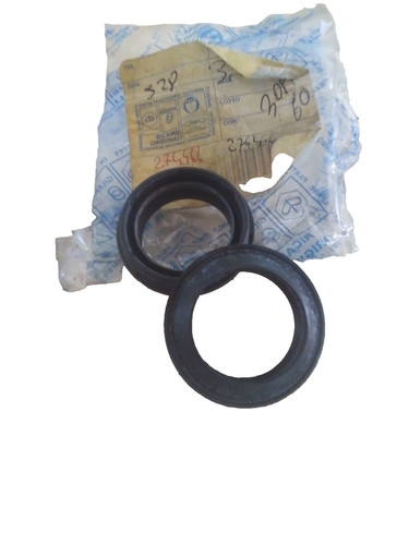 274462 coppia paraolio - coppia,