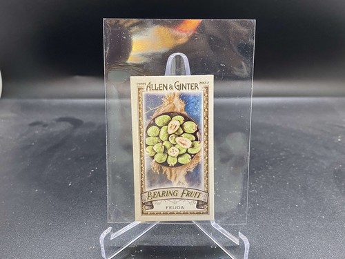Feijoa 2022 topps allen - 2022,