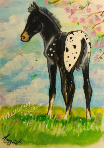 Aceo miniatura cavallo - aceo,