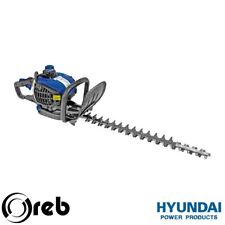 Tagliasiepi a scoppio 2T 25,4