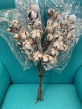 Confezione da 6/steli - Steli