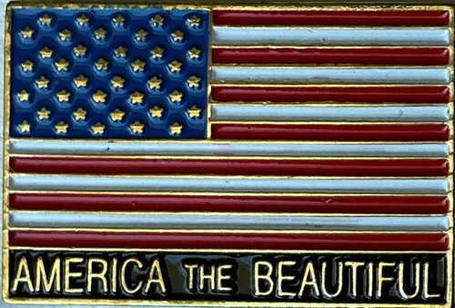 America bella bandiera - america,