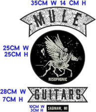 Mule Resophonic Guitars