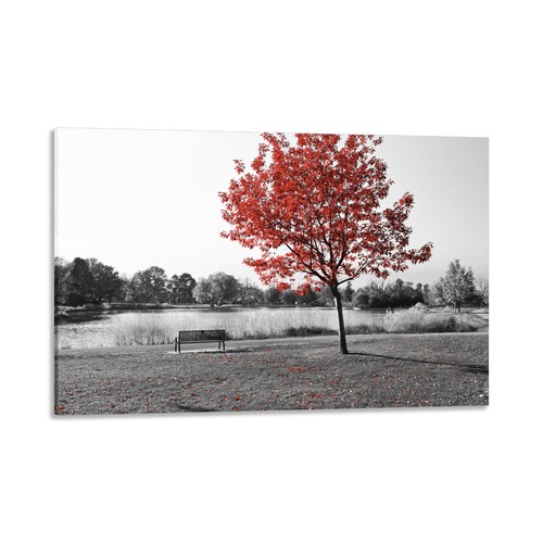 Quadro stampa tela - quadro,