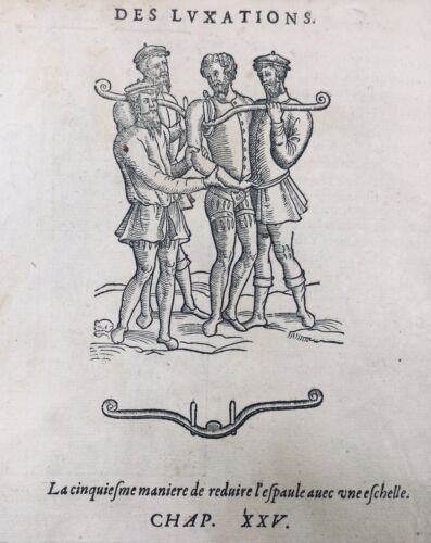 Ortopedista 1614 reumatologia - ortopedista,