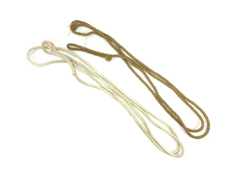 Linee guida tenda cucciolo