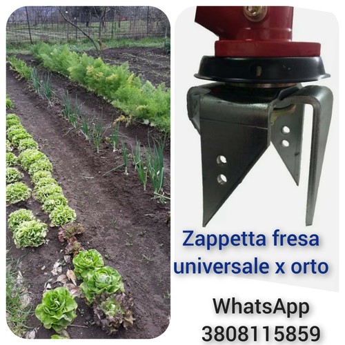 Testina zappetta fresa - ,