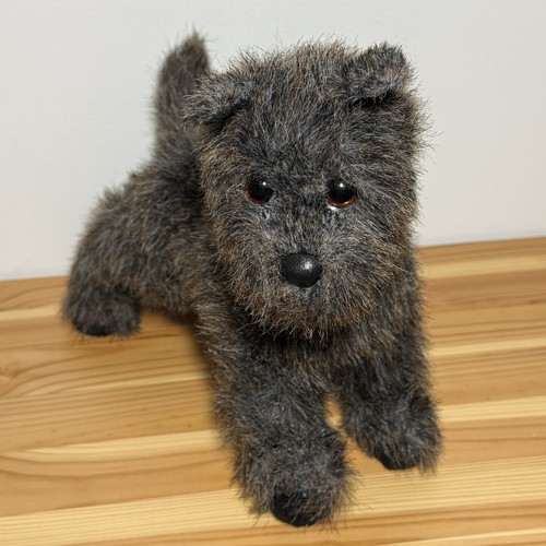Douglas cairn terrier heather - cairn,