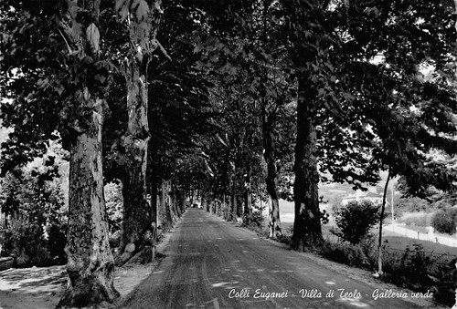 A7265 colli euganei villa - a7265),