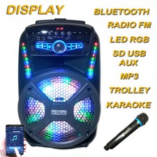 Cassa Amplificata USB SD