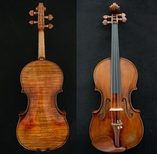 Guarneri Violino Maestro