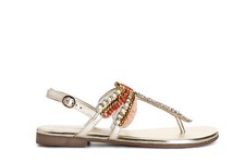 Cafè Noir C1GG9555 SANDALO