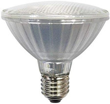 21353 ECO-PAR30 LED VETRO 10W