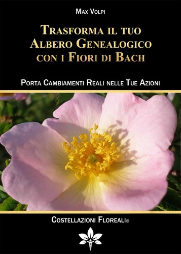 Trasforma tuo albero - trasforma,