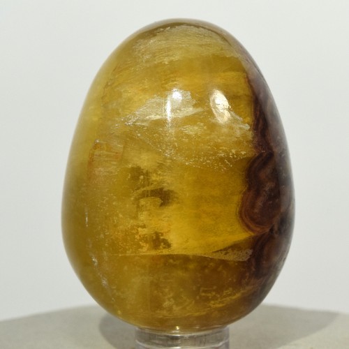 Uovo fluorite gialla 52mm - di,
