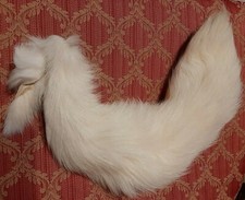  Coda di volpe Pelliccia vera Fox tail Real fur Fuchs Pelz