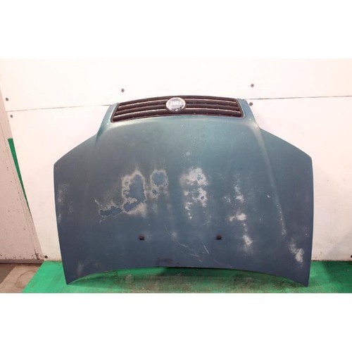 Cofano ant fiat - cofano, punto