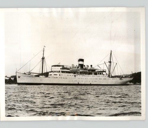 Canadese lady hawkins nave - canadese,